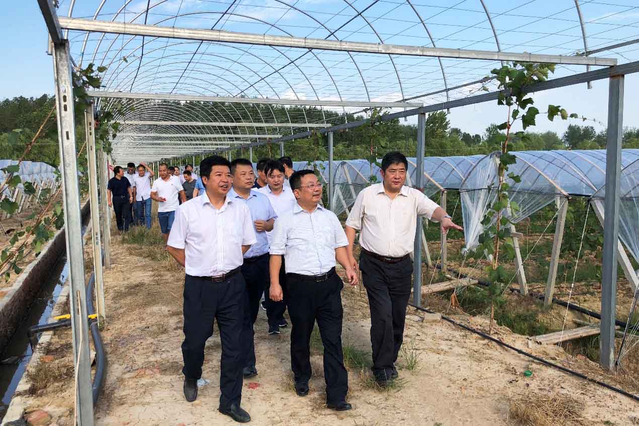 太平洋在线xg111(中国集团)有限公司官网